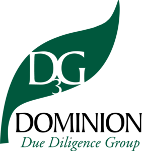 D3G: Dominion Due Diligence Group
