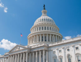 The United States Capitol Building in Washington, DC
